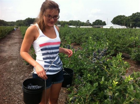 Nicole picking blueberries