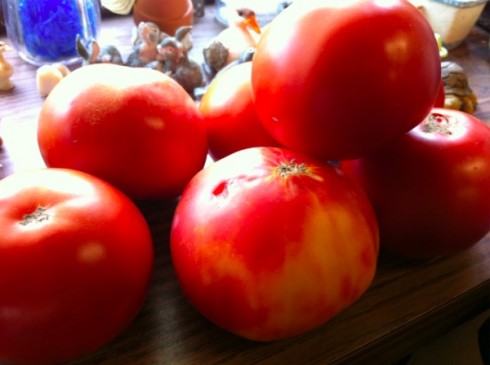 Lots of tomatoes