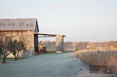 Frost by the barn